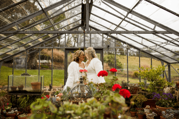 1 photo of bride and bride Hillandale gardens wedding