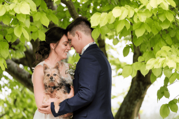 bride and groom and dog posting for wedding photographer in New South Wales