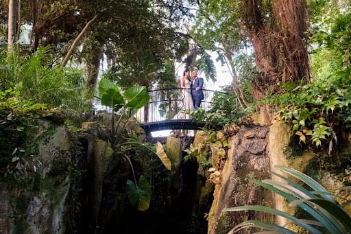 A newly wed couple are standing on a bridge in a Perth botanical garden.