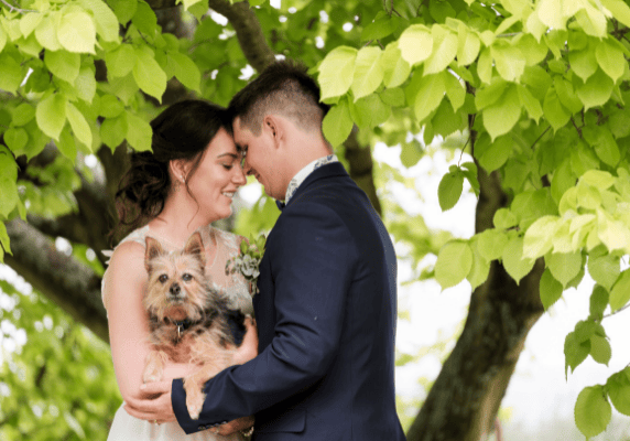 bride and groom and dog posting for wedding photographer in New South Wales
