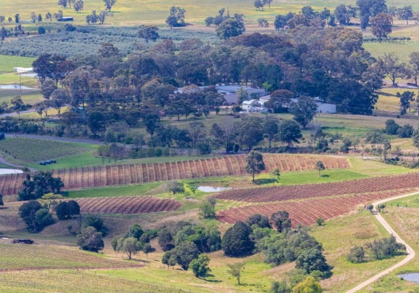 Hunter Valley from drone.